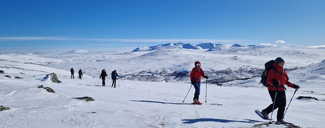 Sneeuwschoentrektocht Kungsleden